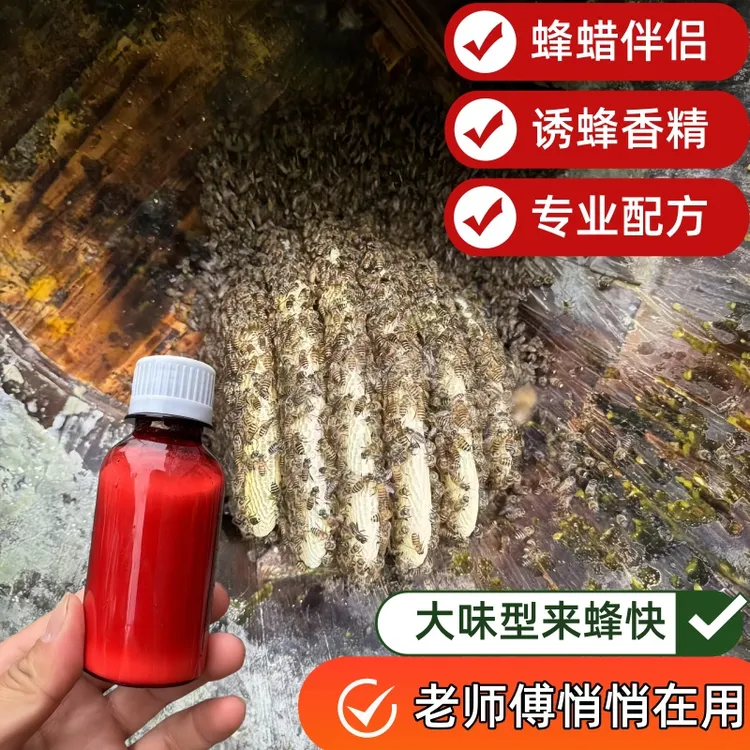 诱蜂蜡伴侣蜂蜡加一物原材料狂拉诱蜂香精诱蜜蜂添加剂7框标准箱