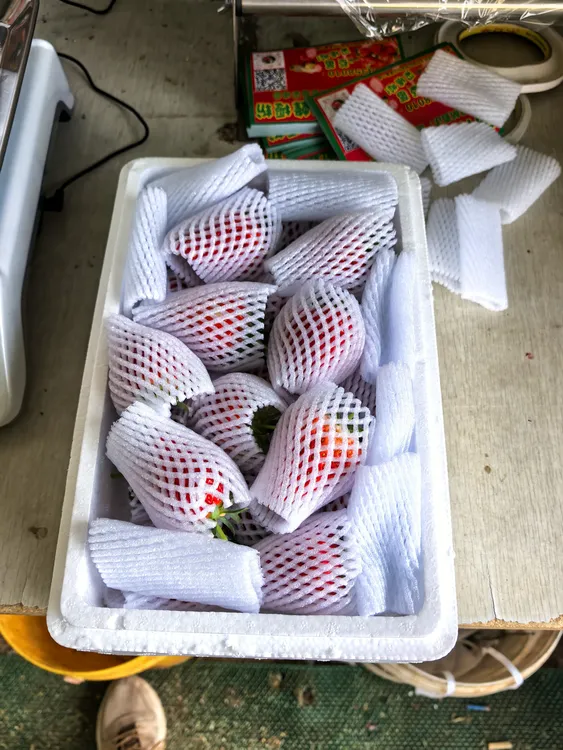 京津冀红颜久久草莓包装箱2斤装