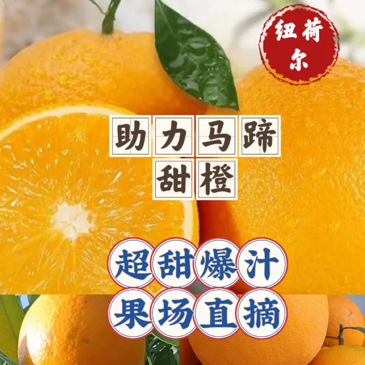 古蔺马蹄甜橙果园直发新鲜水果现摘应季甜橙子产地直发（三）
