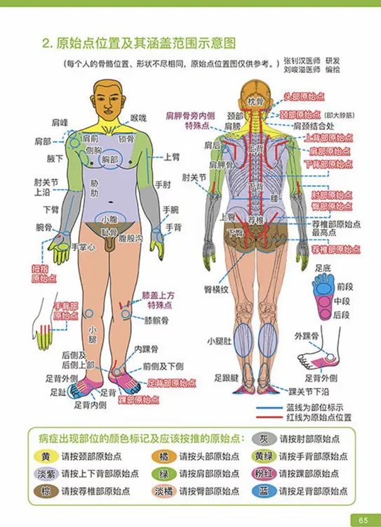 推拿按摩原始点涵盖范围示意图中医养生海报人体经络穴位图