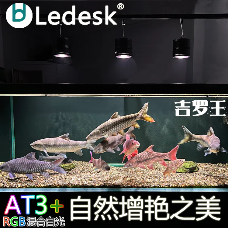 乐迪吉罗专用筒灯RGB灯珠爆藻增艳原生态鱼缸溪流缸三湖灯显色