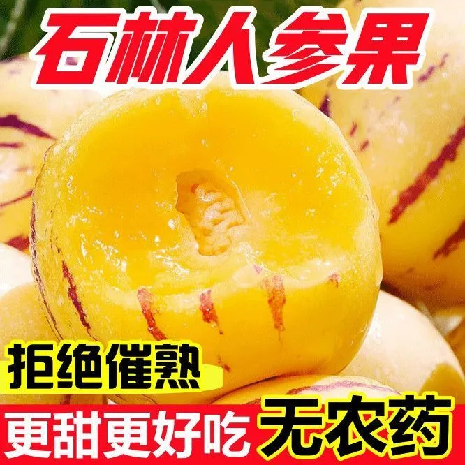 【主播专属2】云南石林人参果树熟净重3/5斤低糖水果清甜可口（顺丰）