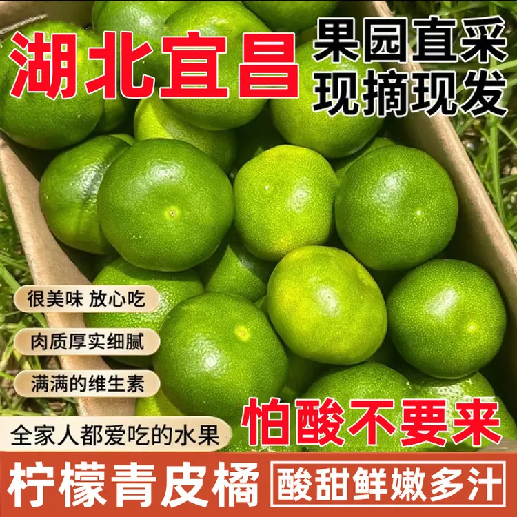 现摘现发湖北青皮酸橘子3-5斤新鲜早熟当季柑橘酸甜桔子孕妇水果批发包邮