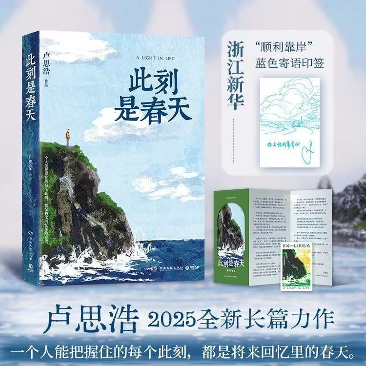 此刻是春天 卢思浩2025新书搭漫长的旅途愿有人陪你颠沛流离