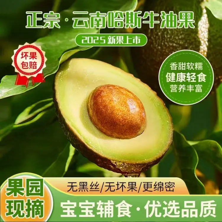 【130-160g】正宗云南哈斯牛油果精品中果新鲜采摘水果云南孟连天然