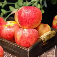 云南昭通红露苹果 4.5斤 现摘现发脆甜多汁口感细腻xm