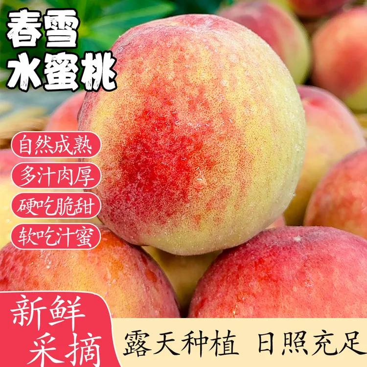 【李李家果园 】正宗水蜜桃脆软两吃应季水果产地直发坏果包赔