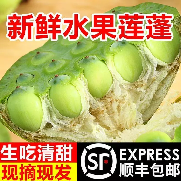 【顺丰冷链】湘莲水果当季水果微甜不苦鲜鲜莲蓬莲子