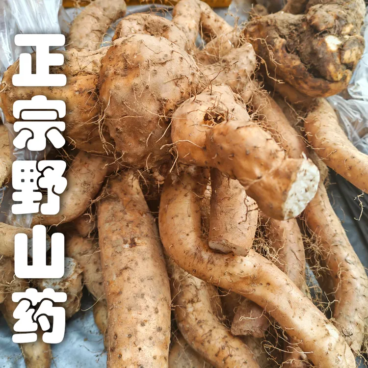 四川野山药新鲜粉糯正宗野生山药新鲜山药新鲜现挖包邮山药10斤