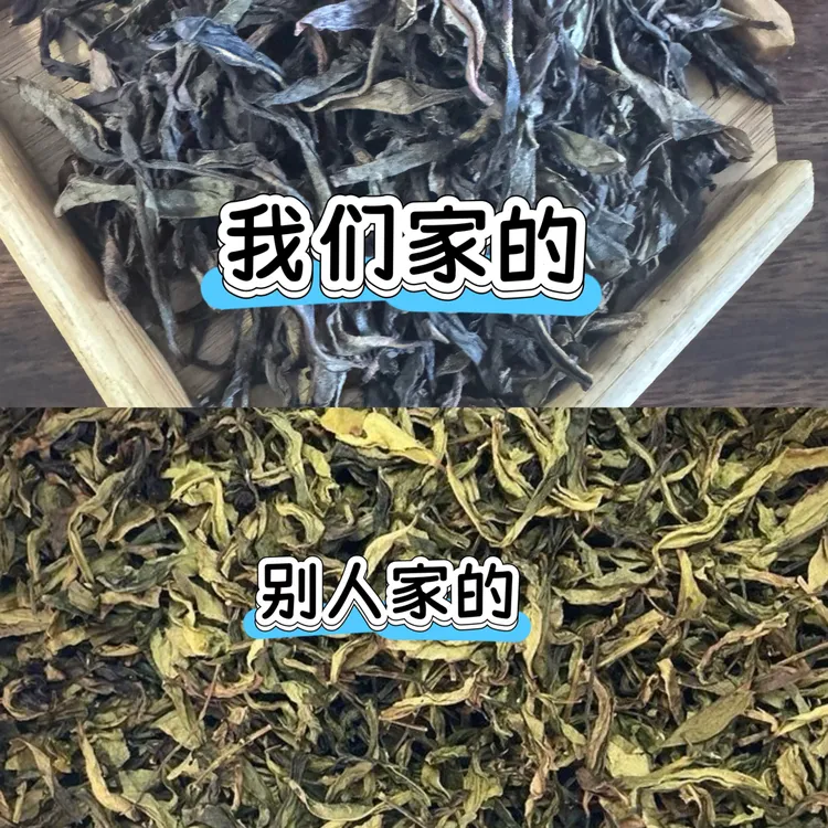 【鸭屎香乌龙茶二米】潮州凤凰单丛口粮二米茶清新口感袋装
