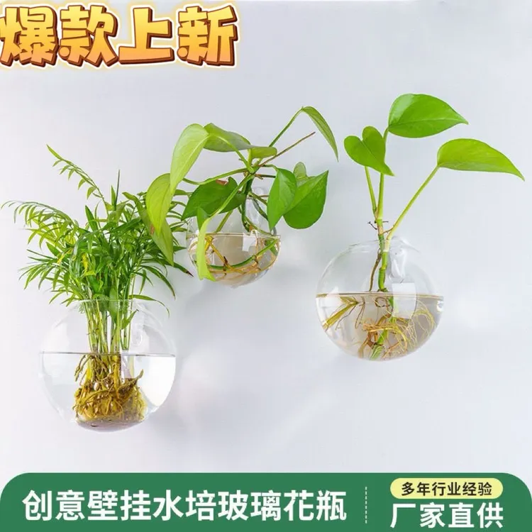 壁挂花瓶玻璃创意客厅墙壁装饰透明简约水培插花挂墙绿萝植物花盆
