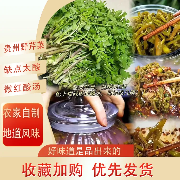 贵州酸芹菜新鲜酸菜野生细叶芹水芹菜农家特色无盐酸菜野芹菜酸