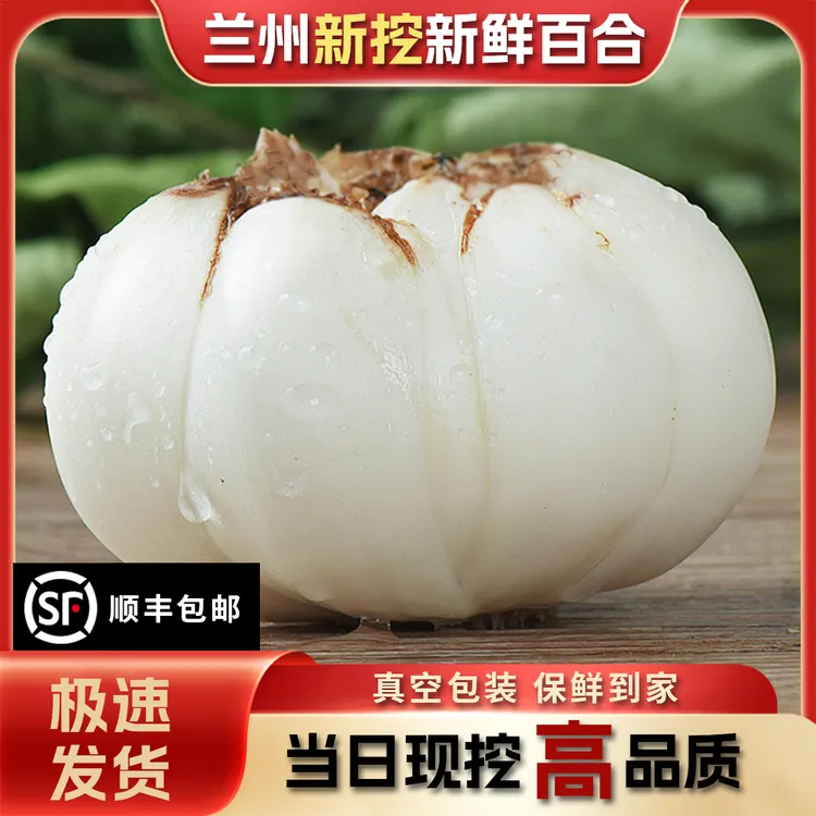 兰州新鲜甜百合食用肉厚香甜