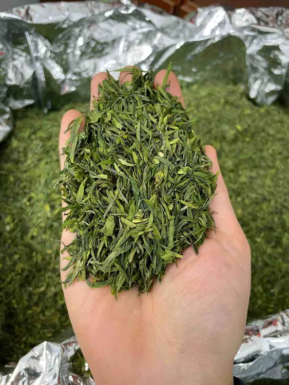 2025年新茶恩施玉露碎茶明前蒸青工艺恩施硒茶浓香耐泡【叶动力】