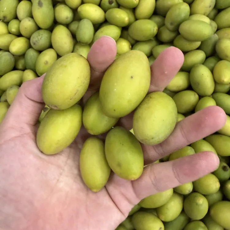 潮汕本地豆仁橄榄