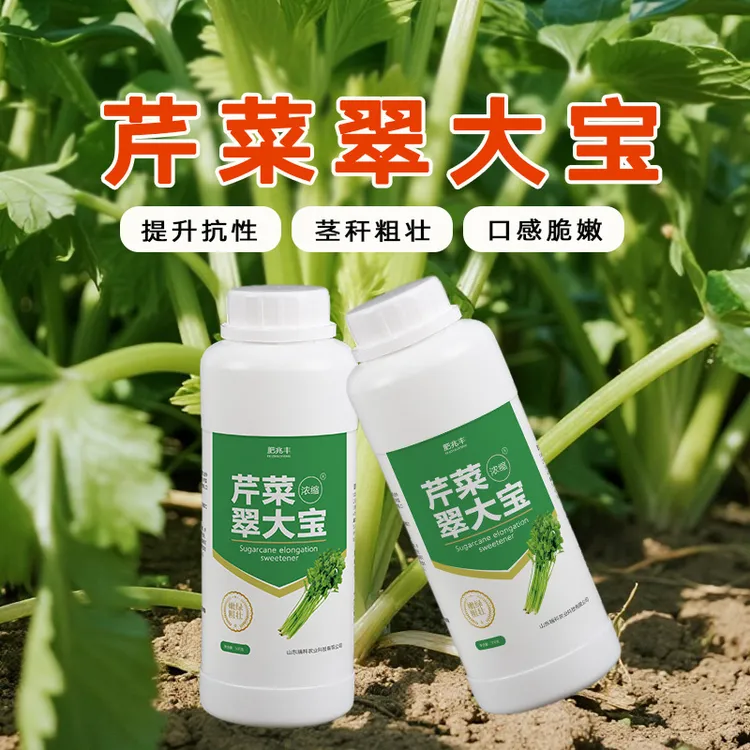 芹菜猛长芹菜专用肥料增粗增白拉长嫩绿西芹通用芹菜速长叶面肥