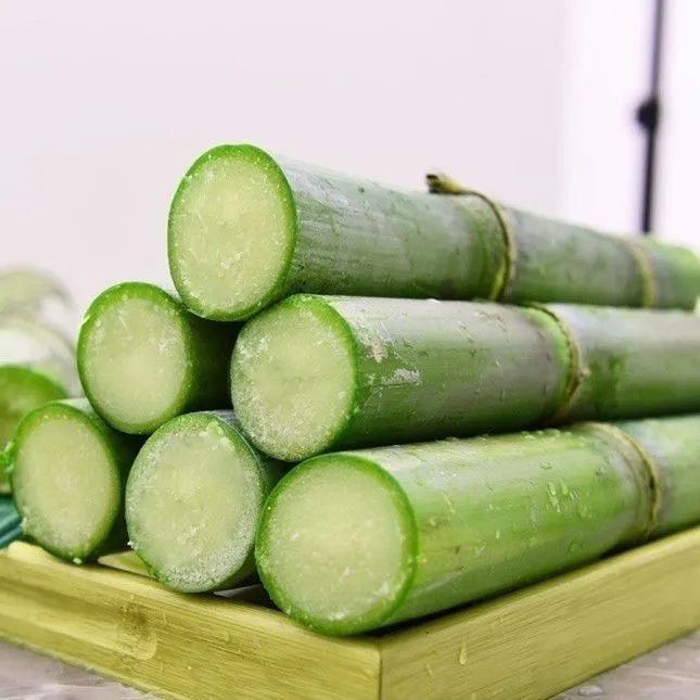 正宗陶山甘蔗青皮当季绿皮孕妇现发新鲜水果应季整箱果蔗3斤