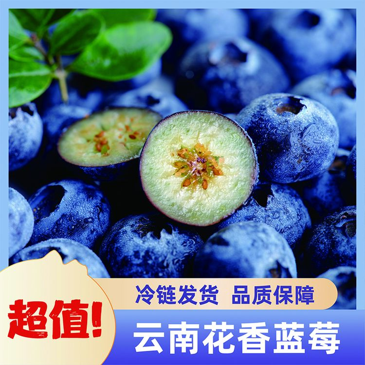 云南花香蓝莓当季新鲜采摘孕妇水果顺丰空运包邮