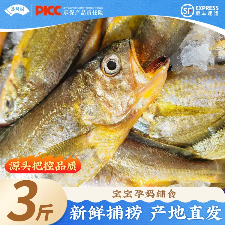 小黄鱼新鲜舟山海鲜深海小黄花鱼美味生鲜冷冻鲜活烧烤鲜美3斤装