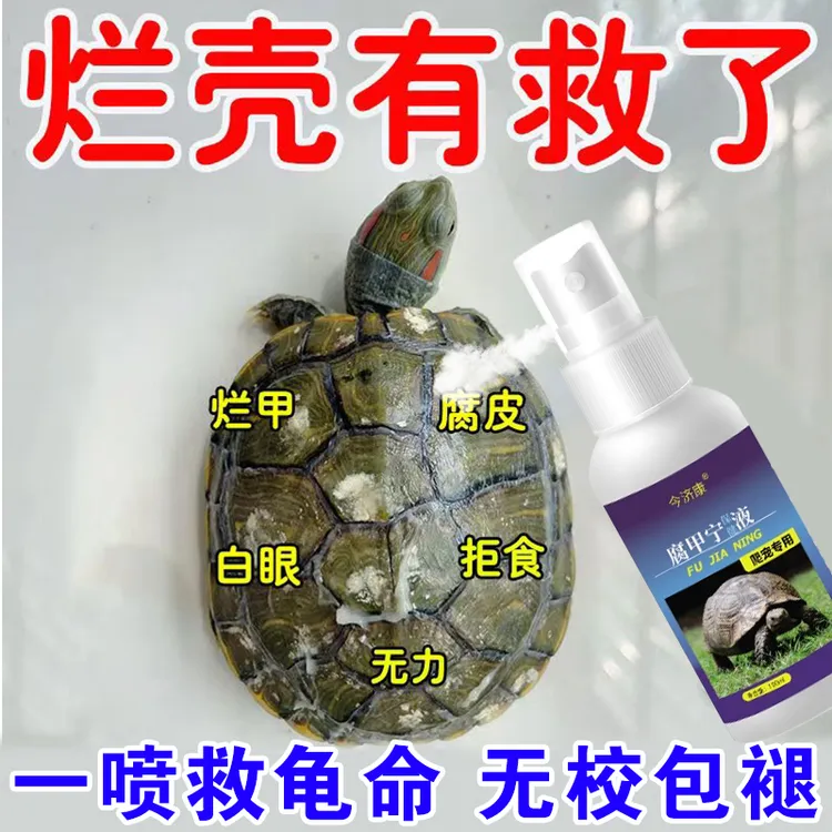 乌龟壳白斑龟甲白点腐甲乌龟水霉长白毛白头龟缸水质净化水族专用