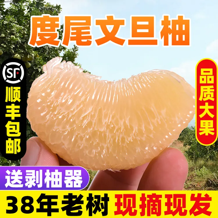 正宗福建莆田度尾文旦柚红心小柚子新鲜当季现摘孕妇应季时令水果