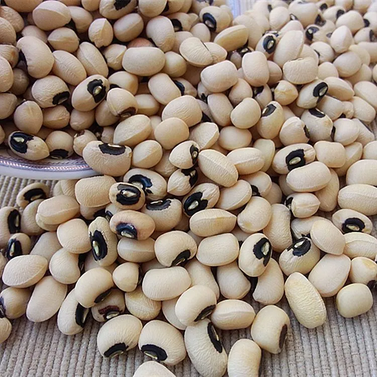 ［白米豆]农家自晒小颗容易熟煲汤