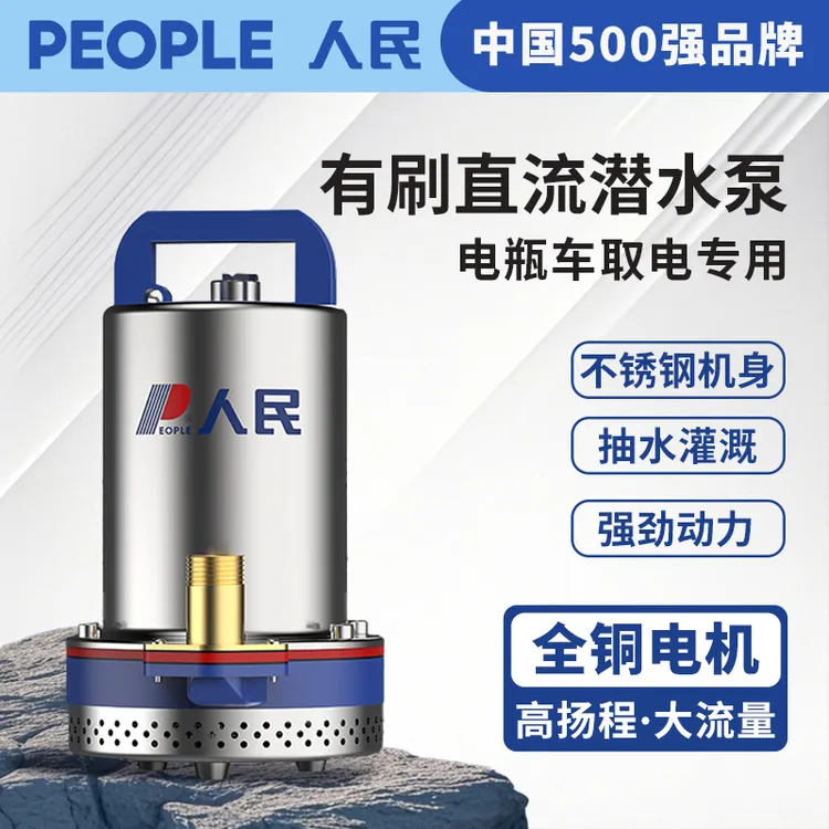 人民不锈钢直流潜水泵12V24V48V60V电瓶车小型抽水机农用灌溉水泵
