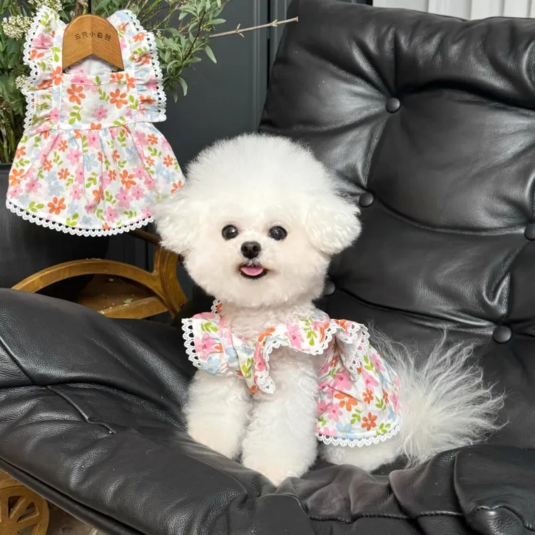 夏日美衣优雅宠物衣服碎花飞袖公主裙狗狗猫咪薄款防晒裙子透气yj