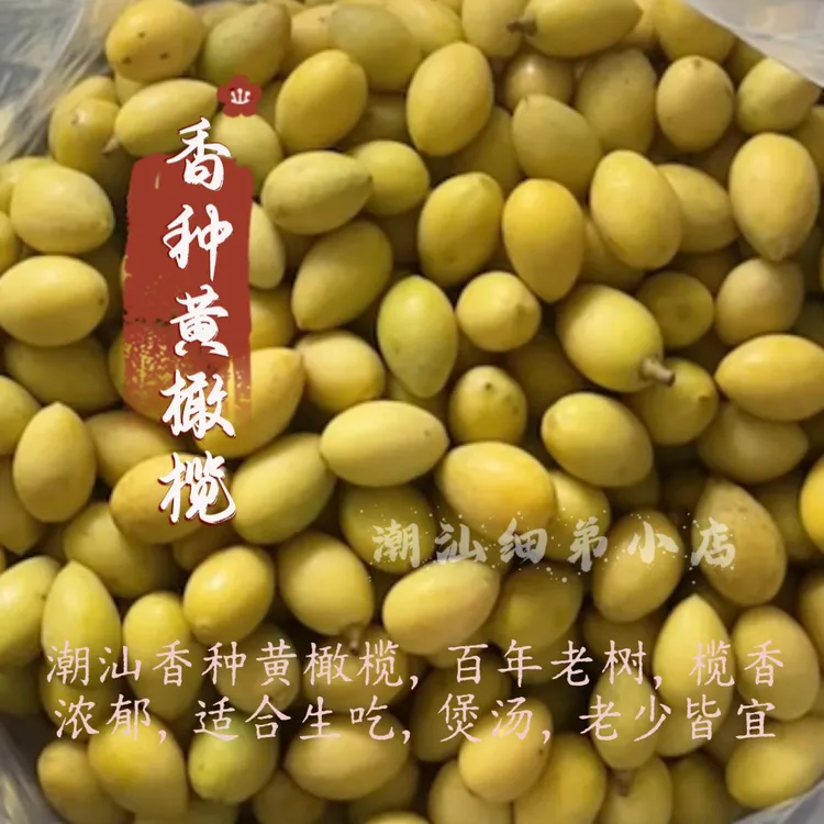 金灶老树香种黄橄榄  生吃甘香少渣 煲汤泡酒一斤起