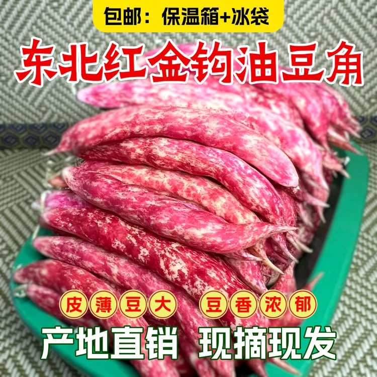 东北红金钩油豆角现采现摘新鲜发货