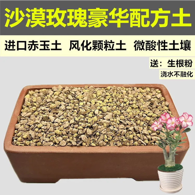 沙漠玫瑰专用土盆景盆栽赤玉土风化土营养颗粒土酸性红沙土种植土