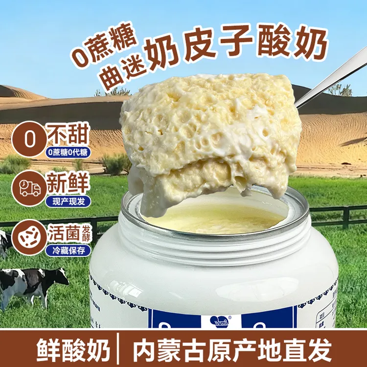 【内蒙古草原酸奶】曲迷自有奶源奶皮子0蔗糖酸奶活菌发酵