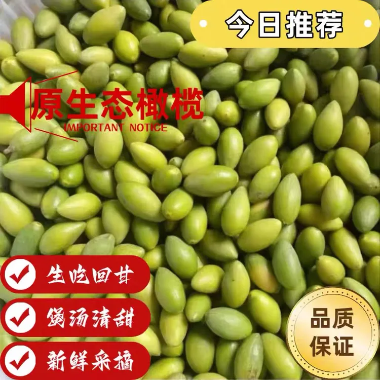 2025年新鲜现摘青橄榄