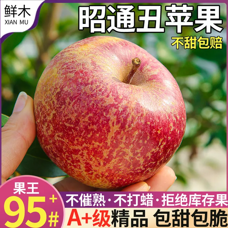 正宗云南昭通丑苹果自然成熟冰糖心新鲜水果