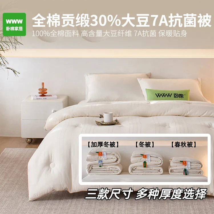 WWW100%全棉30%大豆被贡缎提花春秋冬被轻奢保暖子母被芯 B0004