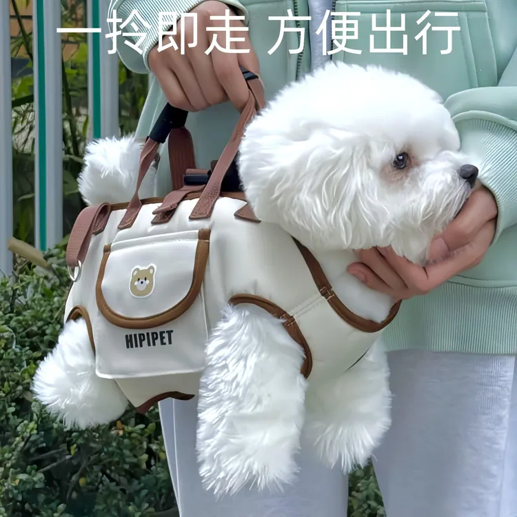 拉萨发货西藏包邮轻便透气中小型猫咪外出便携手小狮子猫咪外出包