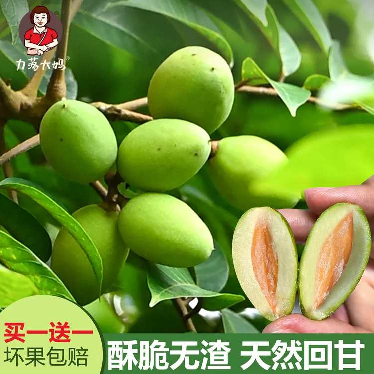 潮汕大妈正宗青枣橄榄新鲜现摘酥脆回甘生吃橄榄两斤