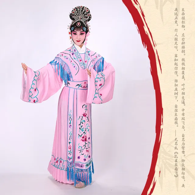 京剧戏曲古装演出服装花旦水袖七仙女小姐女舞蹈戏服 普机大古装