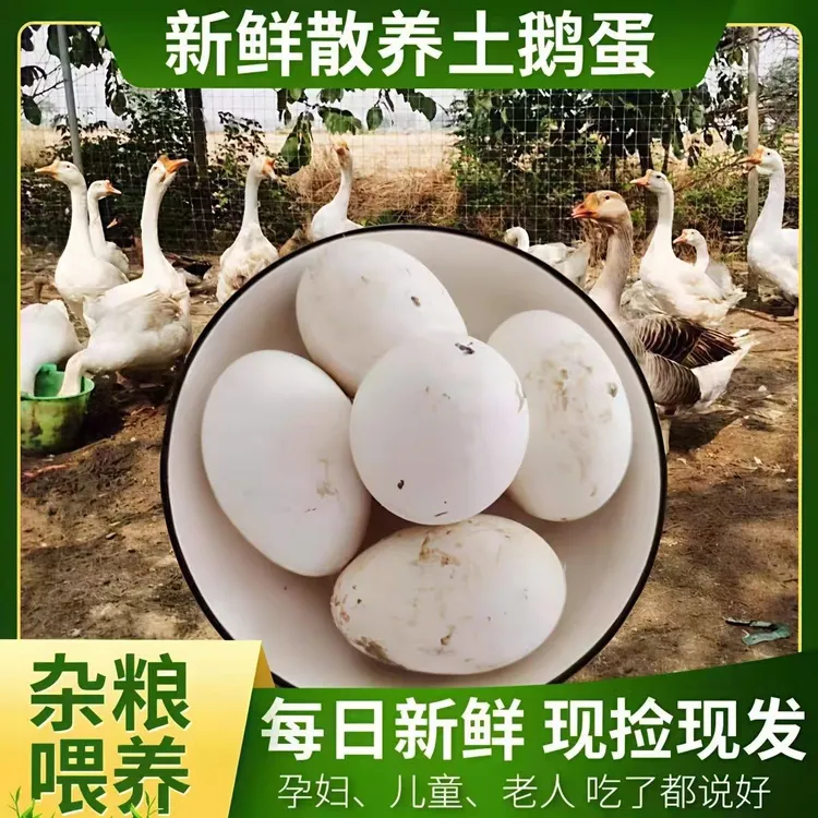 新鲜散养农家土鹅蛋现捡现发破损包赔80克左右