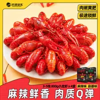 【洪湖渔家】麻辣蒜蓉小龙虾3-5钱800g*4盒 2025年新虾聚餐美食宵夜