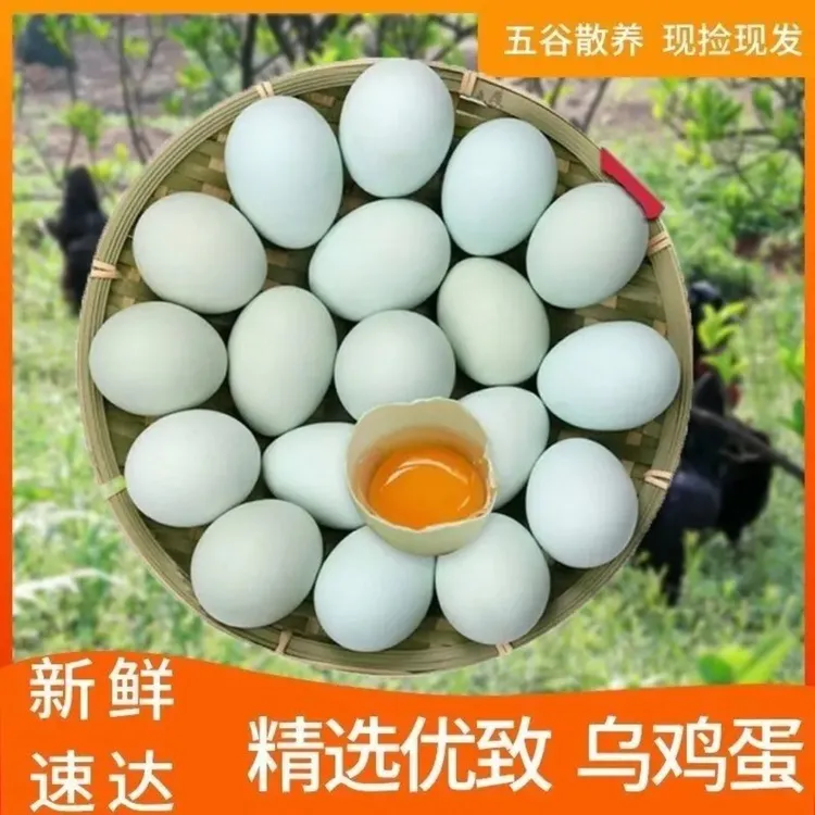 【顺丰包邮】新鲜正宗农家当天现捡现发现发散养散放绿壳乌鸡蛋30枚