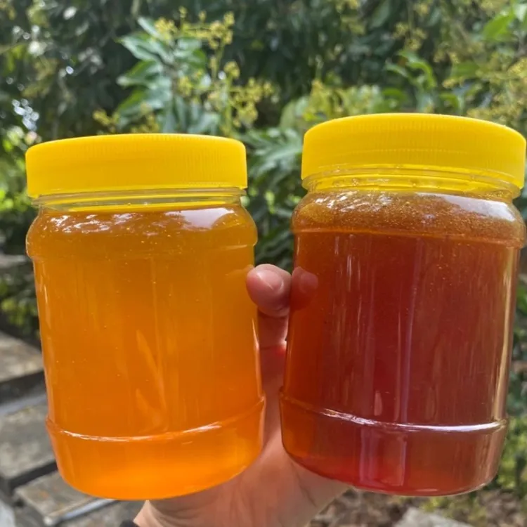 新鲜正宗深山土蜂蜜纯正农家木桶蜂蜜假一赔十