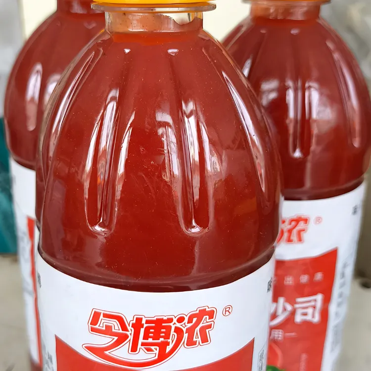今博浓720克番茄沙司味道鲜美颜色鲜艳煎炸蘸料手抓饼披萨小吃