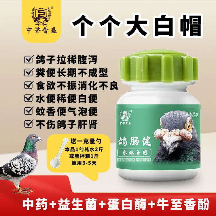 【鸽肠健】50g/瓶 赛鸽鸽子养殖用鸽肠健 个个大白帽 复配型产品