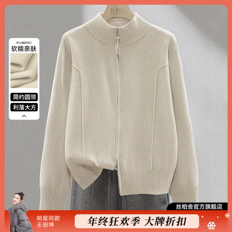 丝柏舍2025商场同款冬季欧若风休闲半高领针织衫S51X2267Z