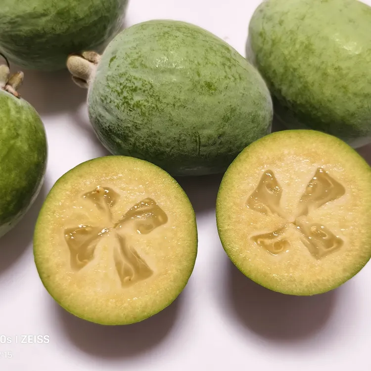 高维C菲油果 ， 又称费约果、肥吉果、凤榴、番石榴。