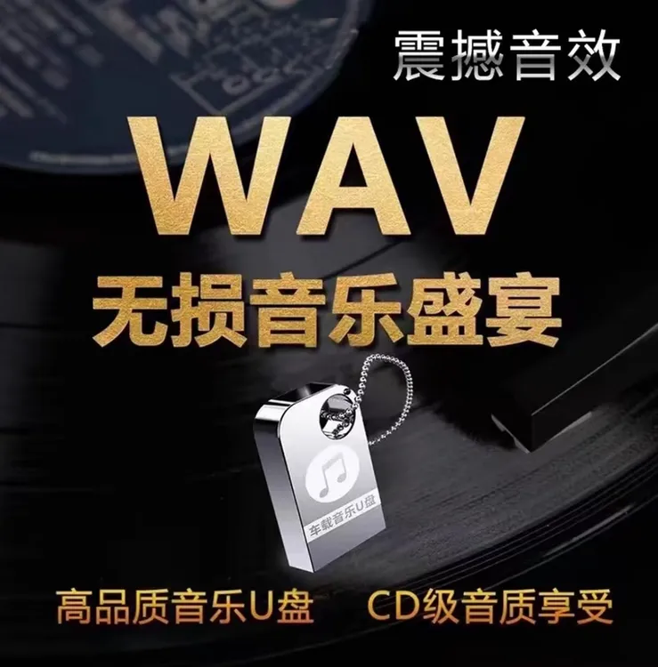 人声发烧音乐WAV车载发烧人声合集人声试音女声男声HIFI无损音乐