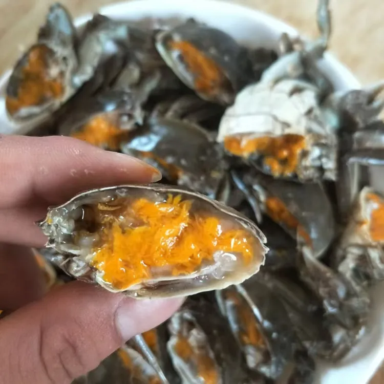 【全母】江苏河蟹母蟹1.8-2.0两10只装非断脚蟹缺脚蟹螃蟹礼盒