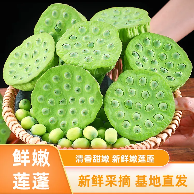新鲜莲蓬现摘现发可生吃嫩莲子当季应季水果可清炒莲子水嫩清甜
