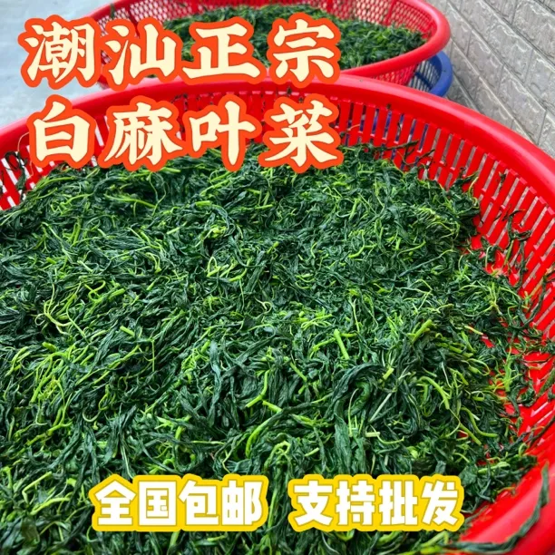 正宗潮汕特产特色新麻叶菜源头直销脱水麻叶杂咸小菜新鲜白麻配粥